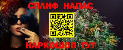 прущие грибы Пугачёв